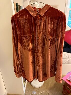 Anthropologie Velvet Button-Up Shirt in Burnt Orange